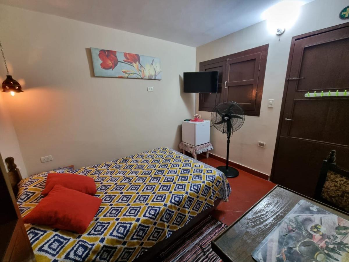 Hostal Mi Lugar Vintage أسونسيون المظهر الخارجي الصورة